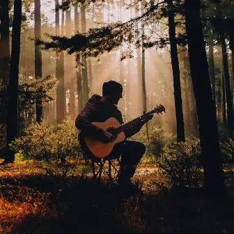 Guitarra Para Relajarse: Suaves Rasgueos Nocturnos by Guitarra acústica