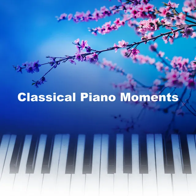 Classical Piano Moments