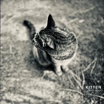 Kitten by Matt Sour