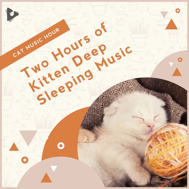 2 Hours of Kitten Deep Sleeping Music