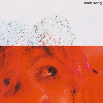 Siren Song by Unknown Artist