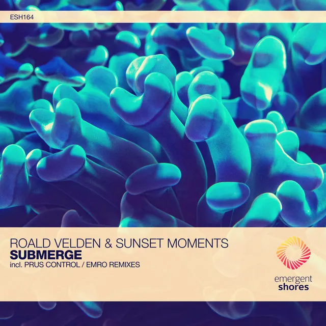 Submerge - Emro Remix