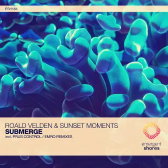 Submerge by Sunset Moments