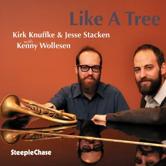 Like A Tree by Jesse Stacken