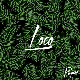 Loco by Purpxse