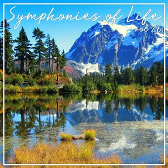 Symphonies of Life, Vol. 26 - The Symphonies Nos 10 Vol. 1 by Arutjun Kotchinian