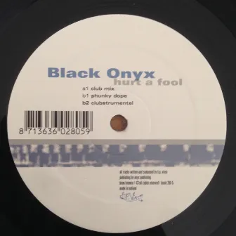 Hurt A Fool by Black Onyx