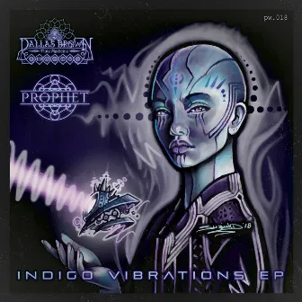 Indigo Vibrations by Dallas Brown Flute Medicine