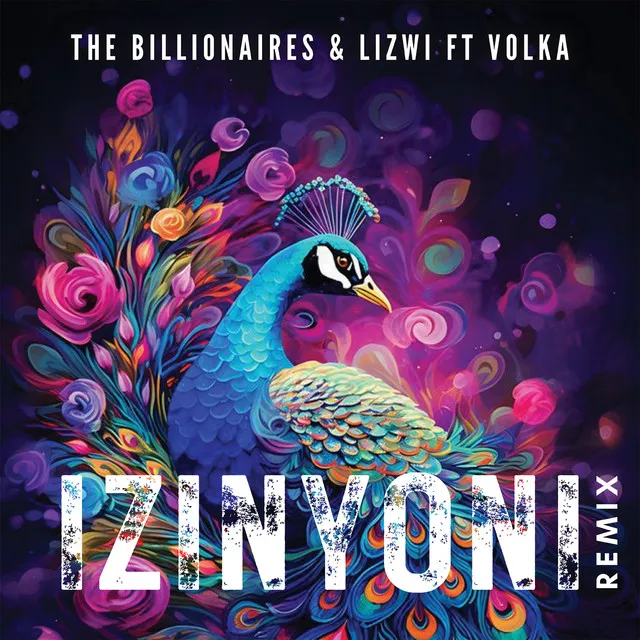 Izinyoni (feat. Volka) - Remix