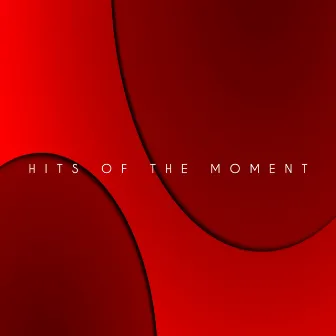 Hits Of The Moment by D J Electronica