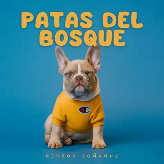 Patas del Bosque: Perros Soñando by Canciones de la naturaleza Música de la naturaleza