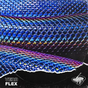 FLEX by VERB