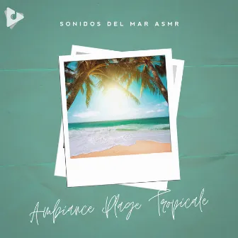 Ambiance Plage Tropicale by Sonidos Del Mar ASMR