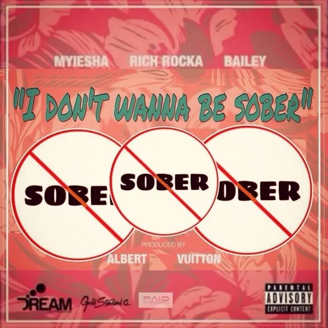 I Don't Wanna Be Sober - Single