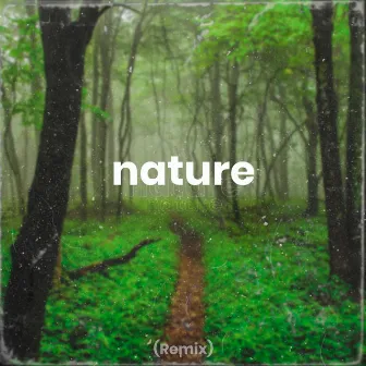 Nature (Remix) by Vitinhow Beats