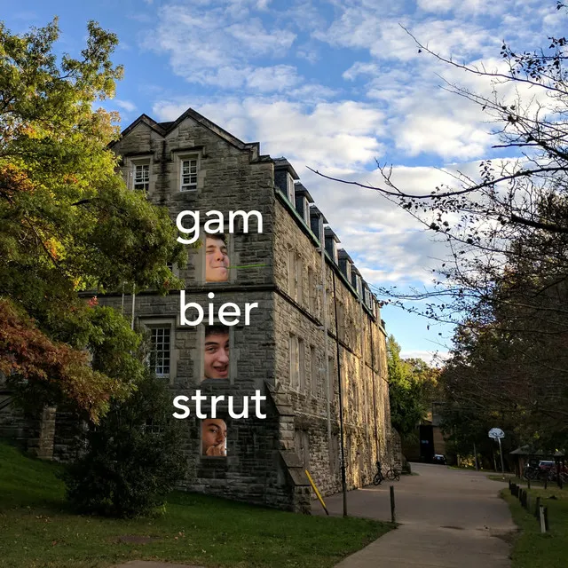 Gambier Strut