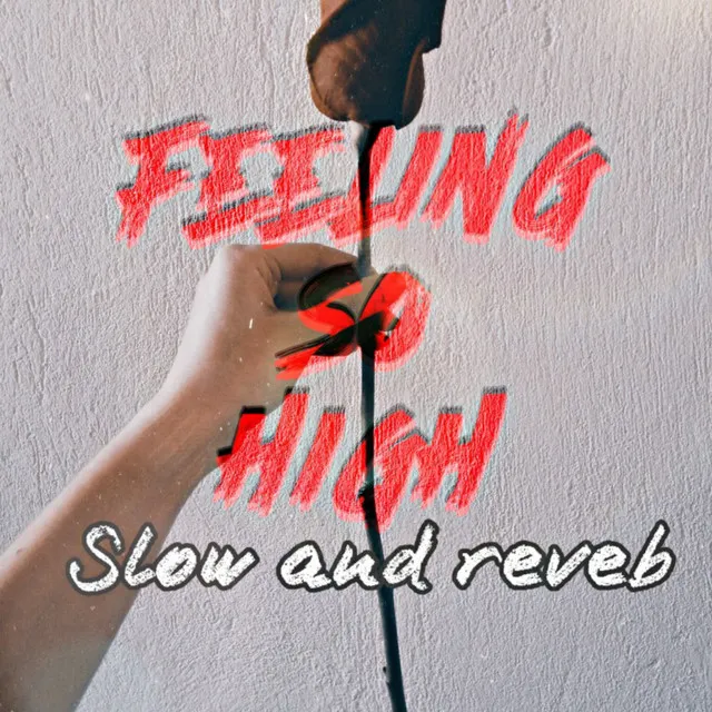 Feeling So High - Slow Reverb