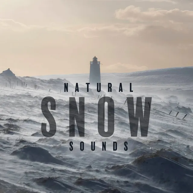 Natural Winter Sounds