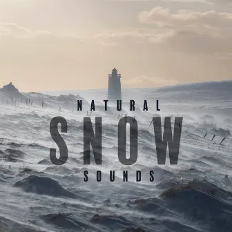 Natural Snow Sounds: Snowy Ocean and Winter Wind by World Music For The New Age