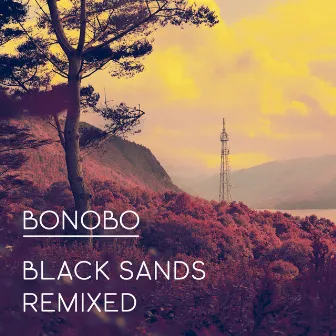 Black Sands Remixed by Bonobo