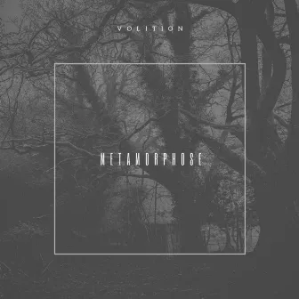 Metamorphose by Volition