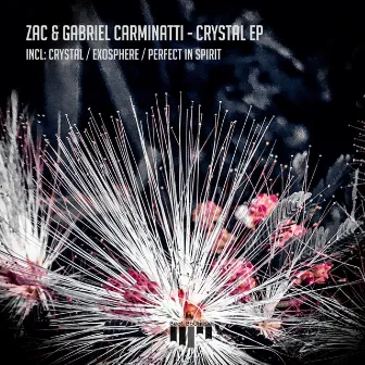 Crystal EP by Gabriel Carminatti