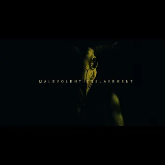 Malevolent Enslavement by Signs of the Swarm