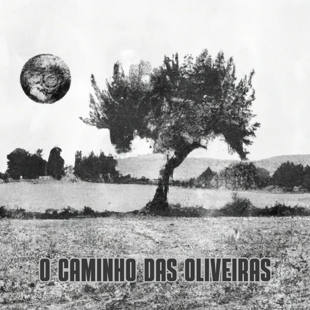 O Caminho das Oliveiras