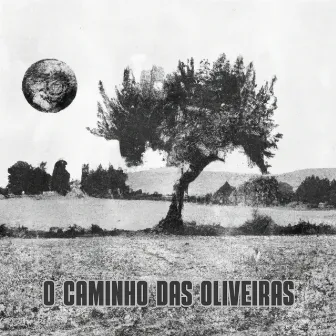 O Caminho das Oliveiras by Unknown Artist