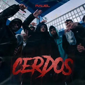 Cerdos by Rauel