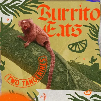 Two Tangerines by Burrito Eats