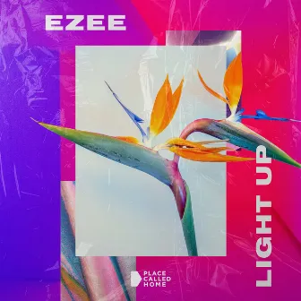 Light Up by EZEE