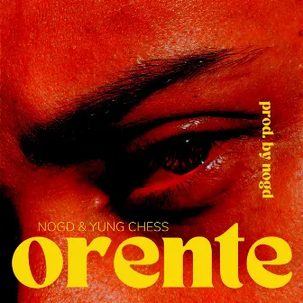 Orente by NOGD