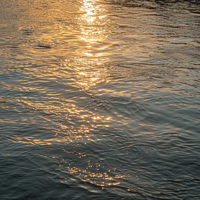 Tranquilidad Acuática: Meditación Oceánica