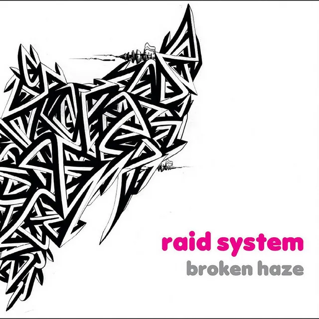 raid system