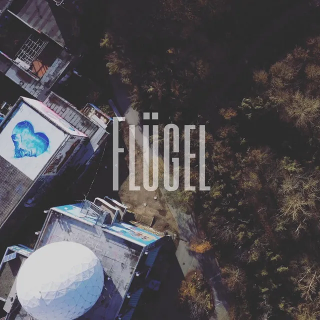 Flügel