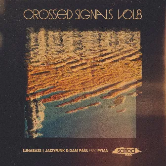 Crossed Signals, Vol. 8 by Dam Paul