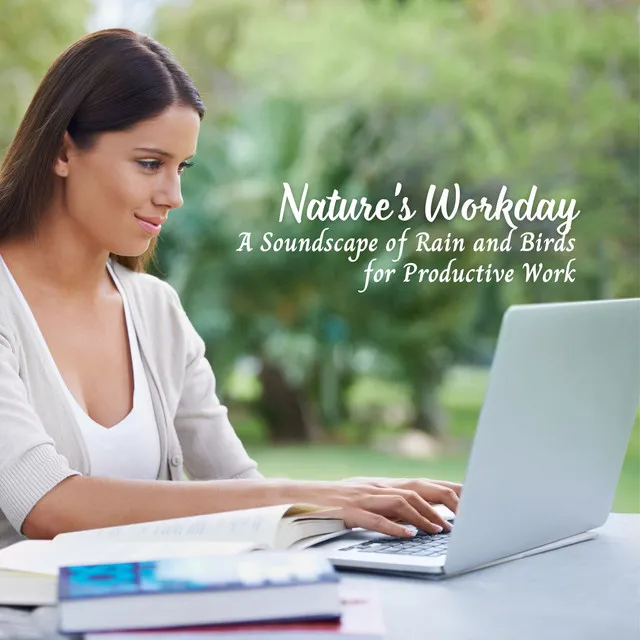 Nature's Workday: A Soundscape of Rain and Birds for Productive Work