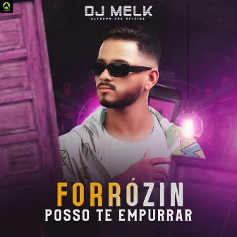 Forrózin Posso Te Empurrar by djmelk