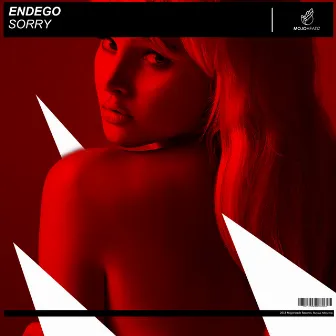 Sorry by Endego