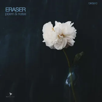 Poem & Noise by Eraser