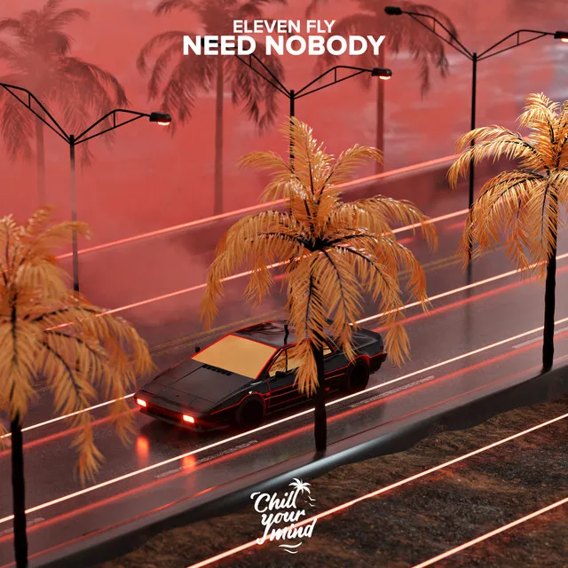 Need Nobody