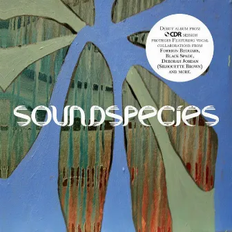 Soundspecies by Soundspecies