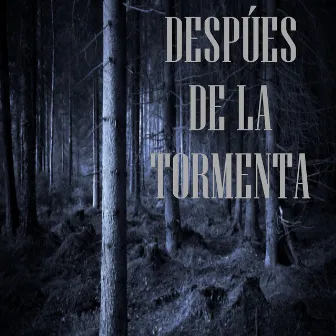 Despúes de la tormenta (Acoustic Version) by Hheta Torres