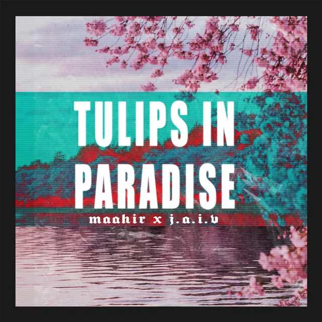 Tulips in paradise