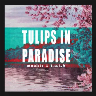 Tulips in paradise by Maahir