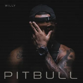 Pitbull by Willy