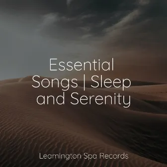 Essential Songs | Sleep and Serenity by Lightning