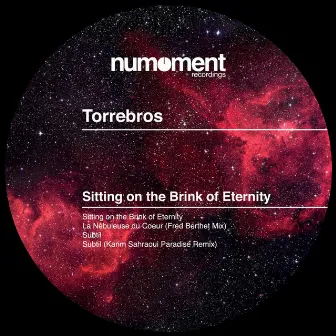 Sitting on the Brink of Eternity by Torre Bros