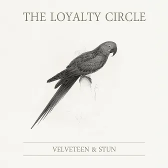 The Loyalty Circle by Velveteen